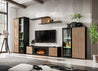 Wohnwand CAMERON TV Sideboard mit Kamin Hochschrank Mittelschrank Regal und LED Wohnzimmermöbel